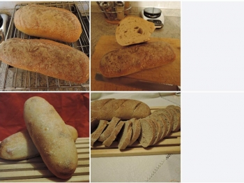 pane quotidiano